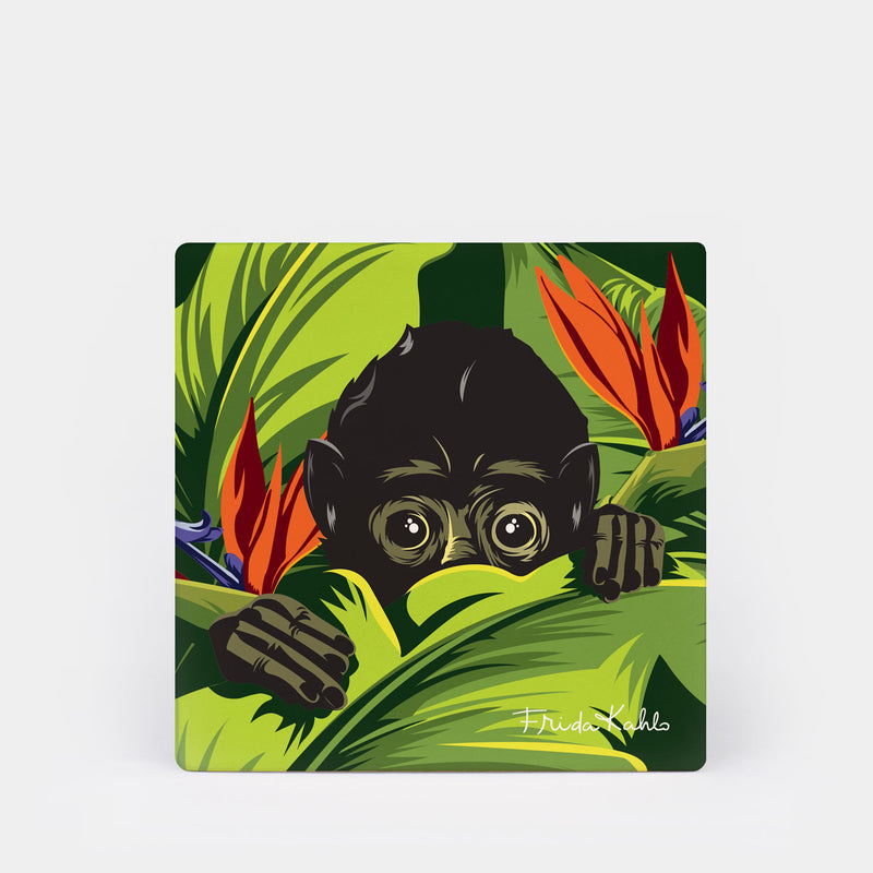 Frida Kahlo Monkey Square Ceramic Coaster - 4 Pack